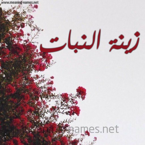 شكل 18 صوره الورد الأحمر للإسم بخط رقعة صورة اسم زينة النبات Zynh-Al-Nbat